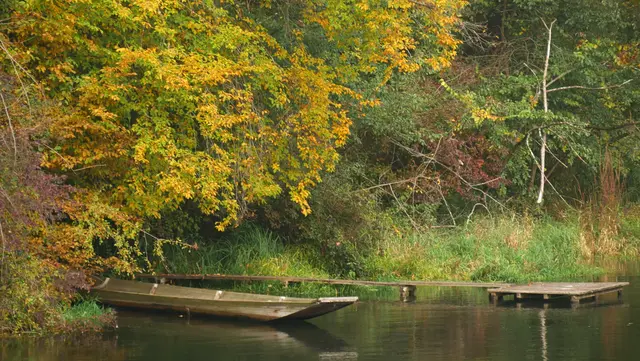 Ein Holzboot an einem Holzsteg angelegt, herbstlich verfärbte Bäume im Hintergrund