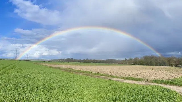 Ein ganzer Regenbogen über einem Feld